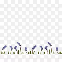 Ó¢¹úÞ¹Ò²Ý×ÀÃæ±ÚÖ½²Ý×ÖÌå-¿ÕÈôÍø Ó¢¹úÞ¹Ò²Ý×ÀÃæ±ÚÖ½²Ý×ÖÌå-¿ÕÈôÍø