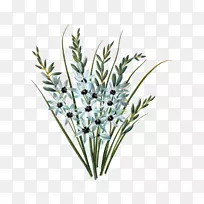 封装PostScript tiff-tiff-空若网 封装PostScript tiff-tiff-空若网