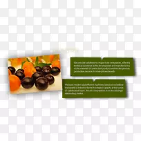 天然食品宣传册品牌食品行业广告-空若网 天然食品宣传册品牌食品行业广告-空若网