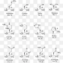 结构图-氨基酸-强调-空若网 结构图-氨基酸-强调-空若网