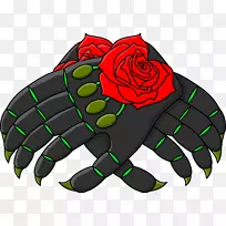 ֲ����������-������