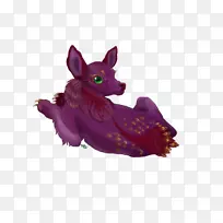 鼻形-空若网 鼻形-空若网