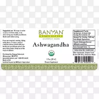 品牌RENNET液体字体-ashwagandha-空若网 品牌RENNET液体字体-ashwagandha-空若网