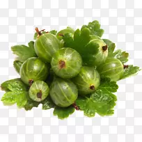 ´×Àõ¡¢Ë®¹û¡¢Ìð¹Ï¡¢Êß²Ë-¿ÕÈôÍø ´×Àõ¡¢Ë®¹û¡¢Ìð¹Ï¡¢Êß²Ë-¿ÕÈôÍø