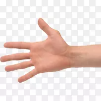 手指夹艺术-手-空若网 手指夹艺术-手-空若网