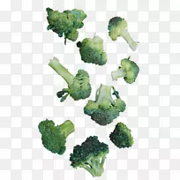 ��Ҭ��-������