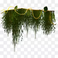 ������-������