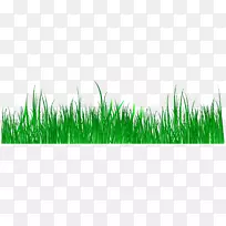 麦草绿色商品电脑壁纸春绿草地创意面板-空若网 麦草绿色商品电脑壁纸春绿草地创意面板-空若网