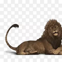 狮子咆哮大猫陆生动物-狮子-空若网 狮子咆哮大猫陆生动物-狮子-空若网