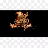 ��Ӱ-��֮��-������