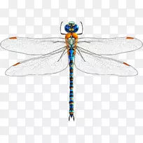 ������������-����-������