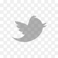 徽标电脑图标博客-Twiter-空若网 徽标电脑图标博客-Twiter-空若网