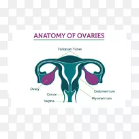 �ѳ����ѳ����ѹ��ѳ�����-�ѳ�-������