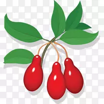 樱桃果奥格里斯剪贴画-樱桃-空若网 樱桃果奥格里斯剪贴画-樱桃-空若网