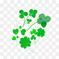 四叶草三叶草开花植物格局-三叶草-空若网 四叶草三叶草开花植物格局-三叶草-空若网