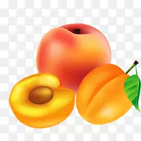 Æ»¹ûÌÒÐÓ-¿ÕÈôÍø Æ»¹ûÌÒÐÓ-¿ÕÈôÍø