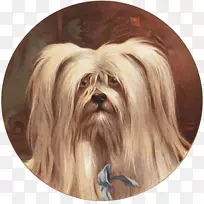 �ʼҹ�����������-����������-������