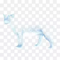 猫科动物-猫-空若网 猫科动物-猫-空若网