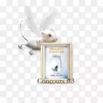 羽毛-羽毛-空若网 羽毛-羽毛-空若网