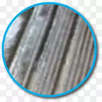 按钮圈巴恩斯&高贵的微软天蓝色字体-按钮-空若网 按钮圈巴恩斯&高贵的微软天蓝色字体-按钮-空若网