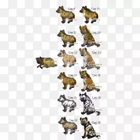 ʳ�⶯��Ұ����������-������-������