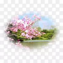 �������Ĳ��������ֽ-kurdele-������