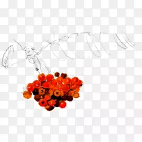 人体珠宝水果珠宝-空若网 人体珠宝水果珠宝-空若网