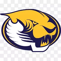 ��߼�����-���г��-������