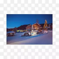 ̩���������˹Ƥ���³��������գ���˹Ƥ�ľ������ȼٴ�-����-������