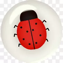 ����ư��-������