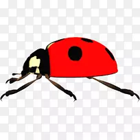 ÏÂÔØÉãÓ°¼ôÌù»-¿ÕÈôÍø ÏÂÔØÉãÓ°¼ôÌù»-¿ÕÈôÍø