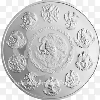 银币-空若网 银币-空若网