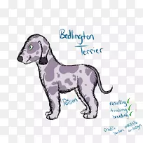 犬种小狗爱鼻子-小狗-空若网 犬种小狗爱鼻子-小狗-空若网