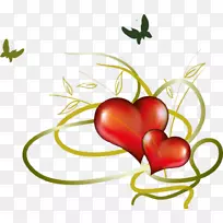 �����˽����������-���˽�-������