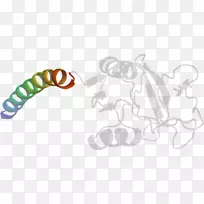 ¶¯Îï¼ôÌù»Éè¼Æ-¿ÕÈôÍø ¶¯Îï¼ôÌù»Éè¼Æ-¿ÕÈôÍø