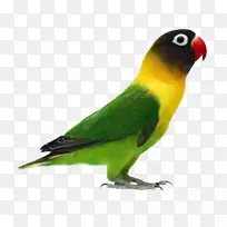 ���ģ��ƾ����񣬷�����İ���õ��ɫ���İ���-����-������