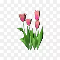 郁金香植物计算机软件切花-郁金香-空若网 郁金香植物计算机软件切花-郁金香-空若网