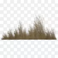 ����ͼ�������ֽ������-������