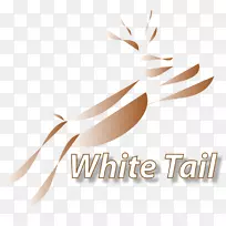 商标桌面壁纸字体电脑-空若网 商标桌面壁纸字体电脑-空若网