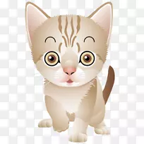 猫须猫家养短毛猫埃及猫-空若网 猫须猫家养短毛猫埃及猫-空若网