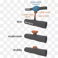 ��ͻ����ͻ��Ԫ��ͻ״ϸ����-������