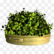 草坛-空若网 草坛-空若网