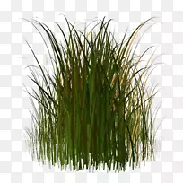 ͼƬ��������Ӱ������-�õ�-������