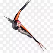 喙满意-空若网 喙满意-空若网