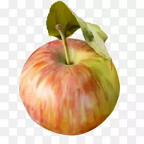 ʳ���߲�ˮ���߲�-������