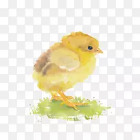 ˮ�ʻ�������-������