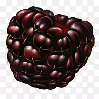 É£Ê÷¹û¸²Åè×Ó-¿ÕÈôÍø É£Ê÷¹û¸²Åè×Ó-¿ÕÈôÍø