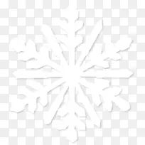 对称线点黑白图案-雪花PNG图像-空若网 对称线点黑白图案-雪花PNG图像-空若网
