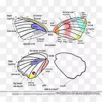 ��������ȫ��л๴�����-����-������