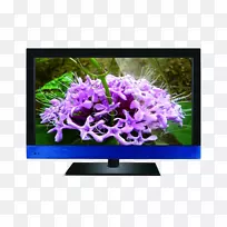 ����Һ����ʾ����4��cpuҺ����ʾ��Һ������-������